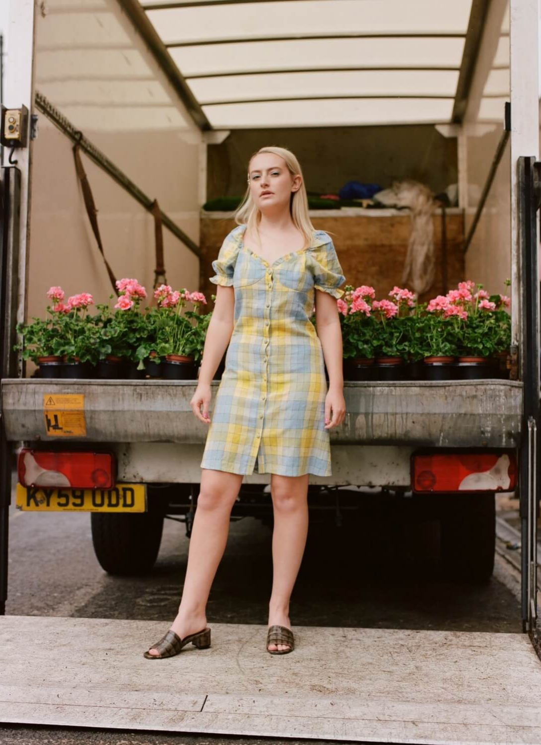 Amelia Dimoldenberg - Notion