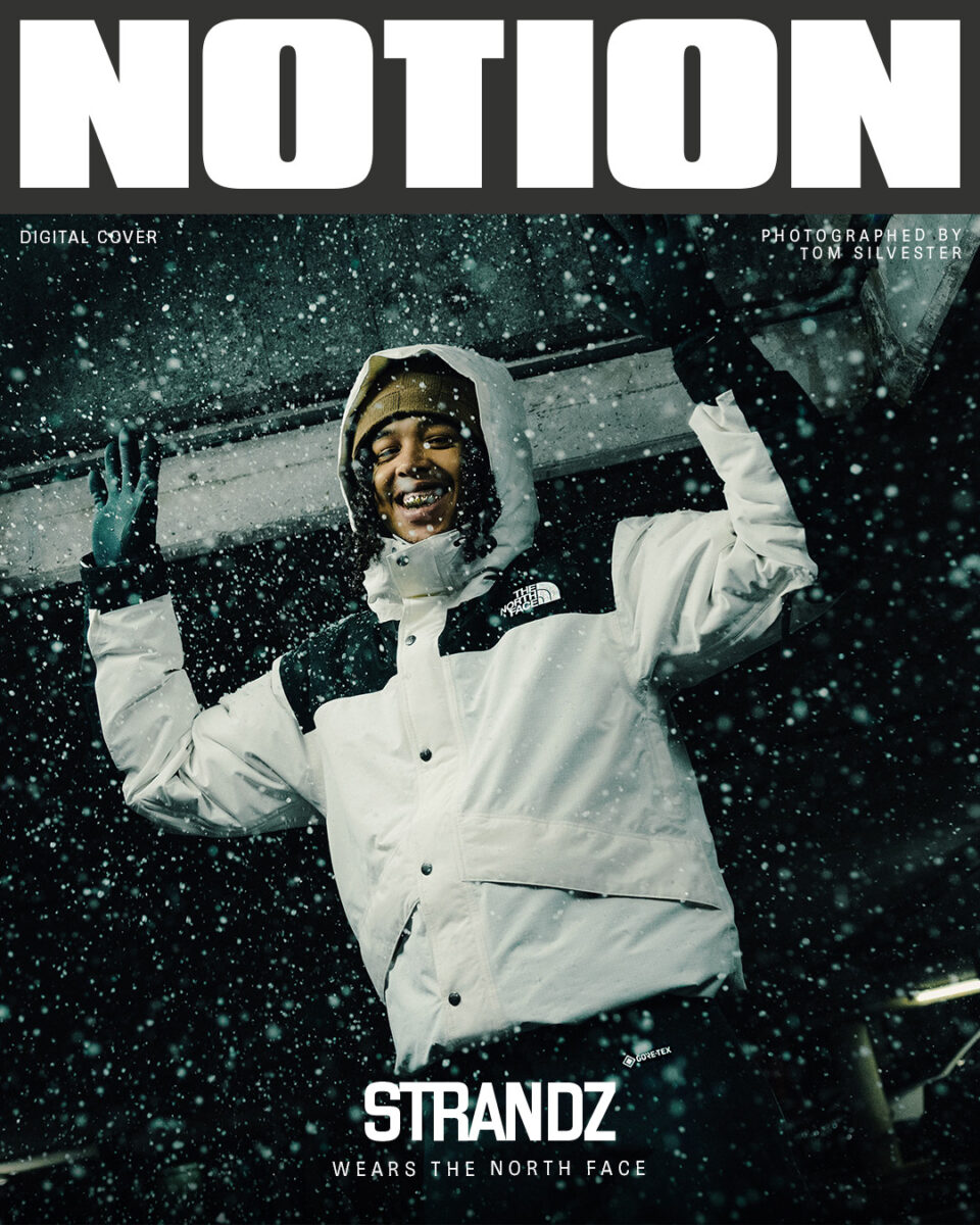 Strandz Always Finds the Silver Lining - Notion